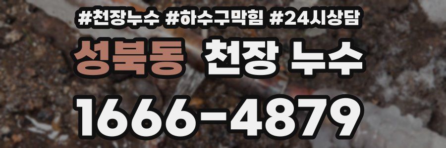 성북동 천장 누수