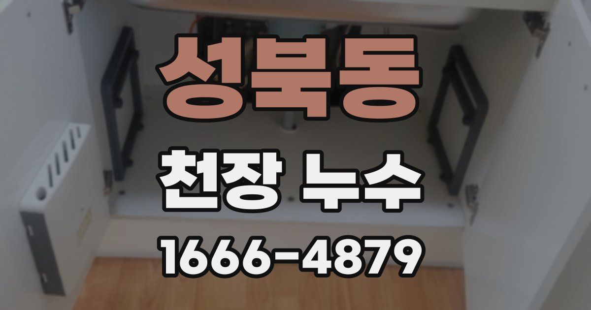 성북동 천장 누수