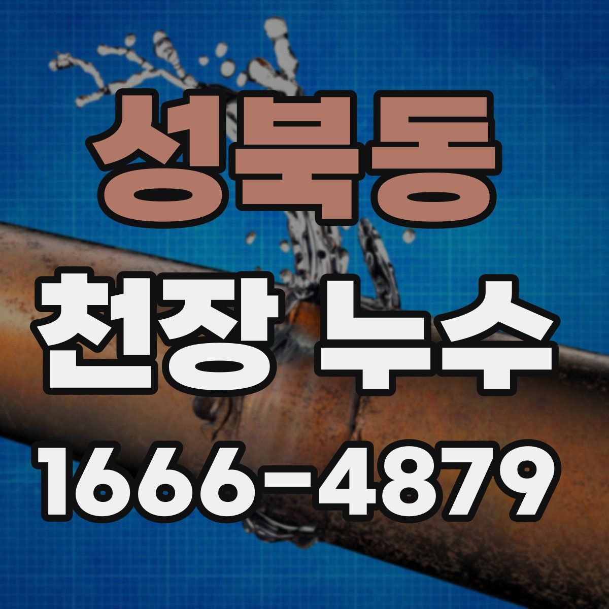 성북동 천장 누수