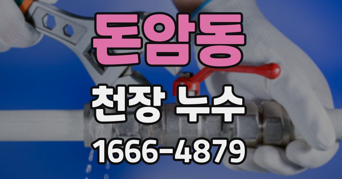 돈암동 천장 누수