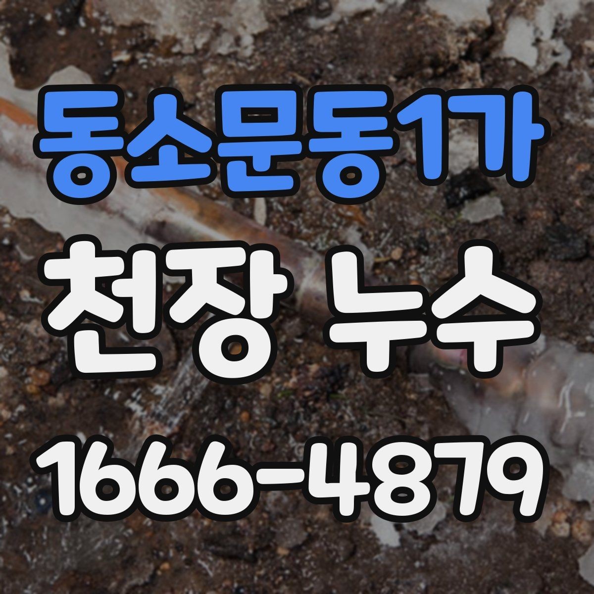 동소문동1가 천장 누수 고민이라면 빠르게 정리해 드립니다