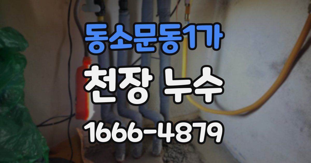 동소문동1가 천장 누수