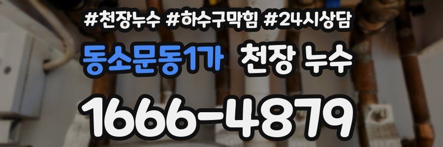 동소문동1가 천장 누수