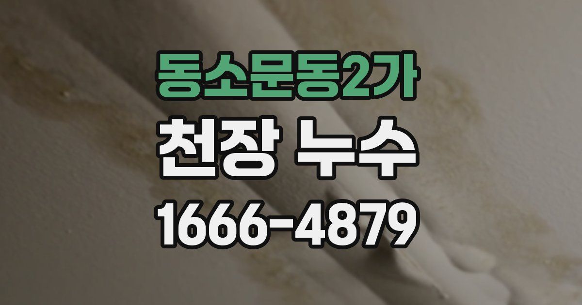동소문동2가 천장 누수