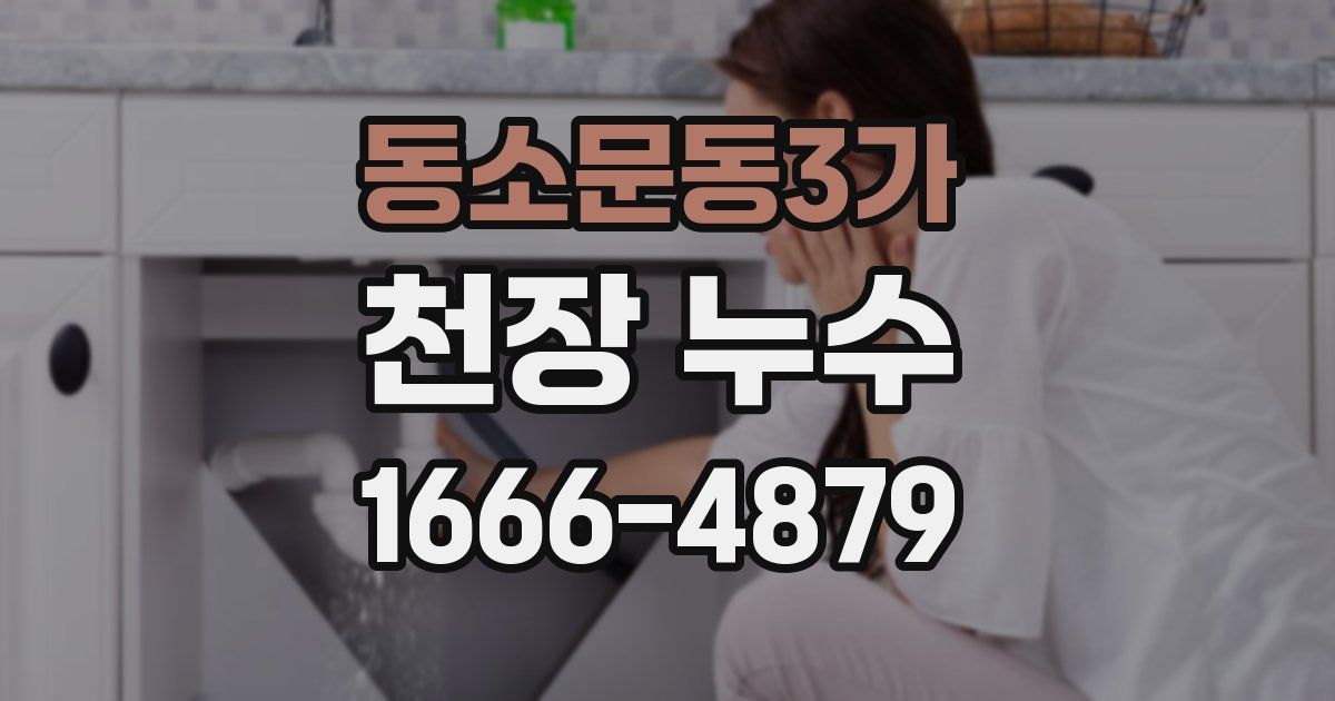 동소문동3가 천장 누수