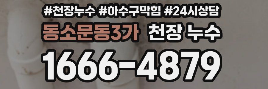 동소문동3가 천장 누수