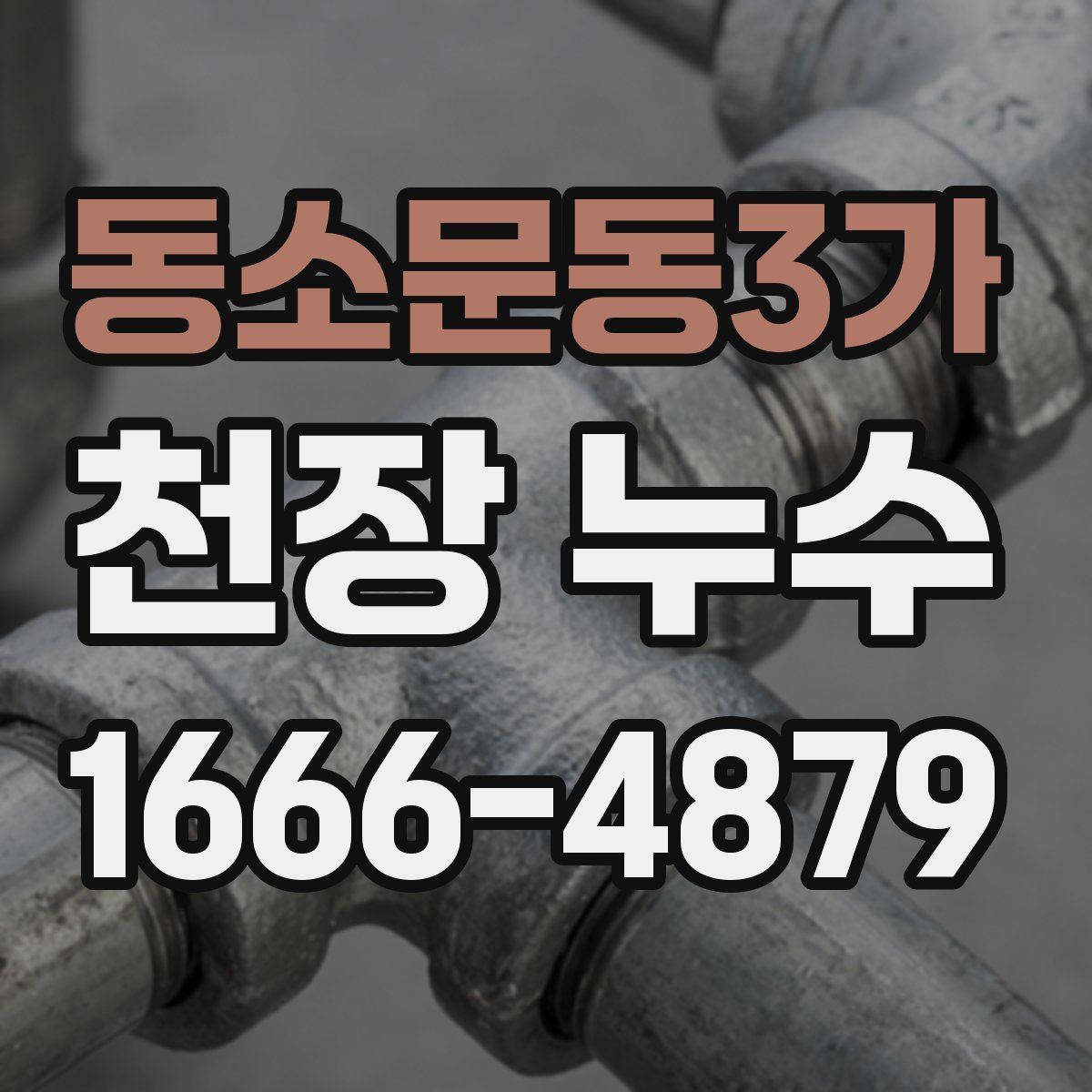 동소문동3가 천장 누수