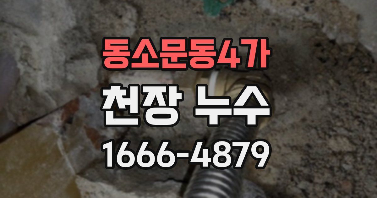 동소문동4가 천장 누수