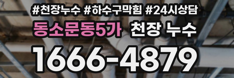 동소문동5가 천장 누수