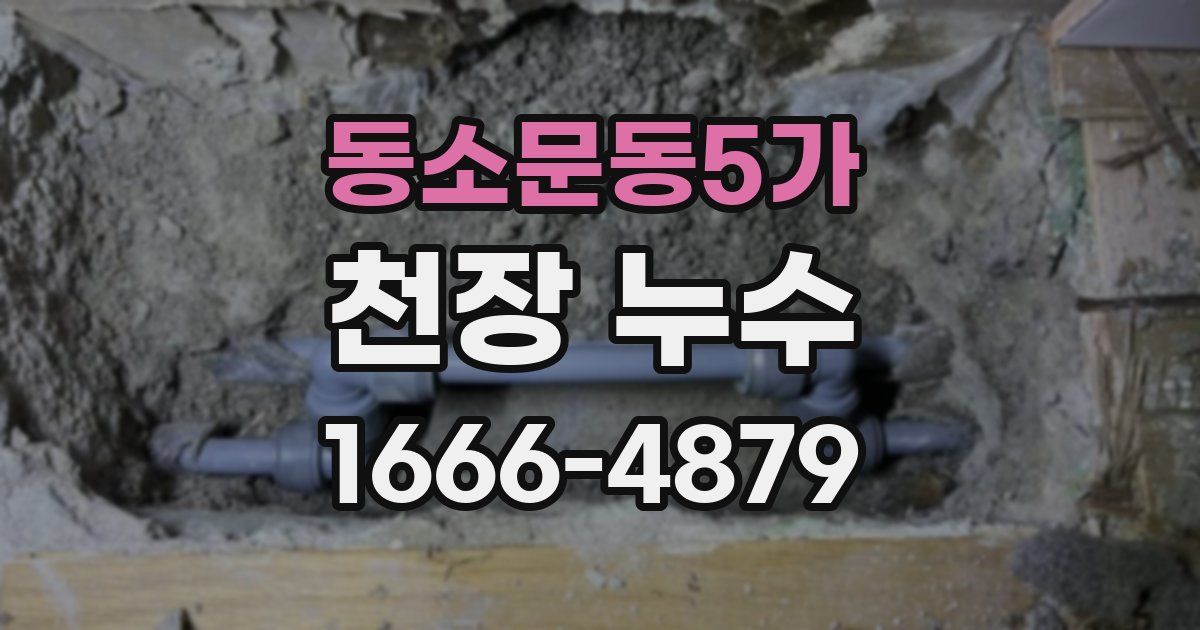 동소문동5가 천장 누수