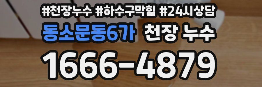 동소문동6가 천장 누수