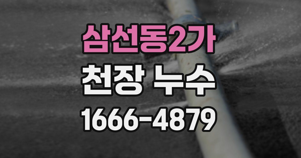 삼선동2가 천장 누수