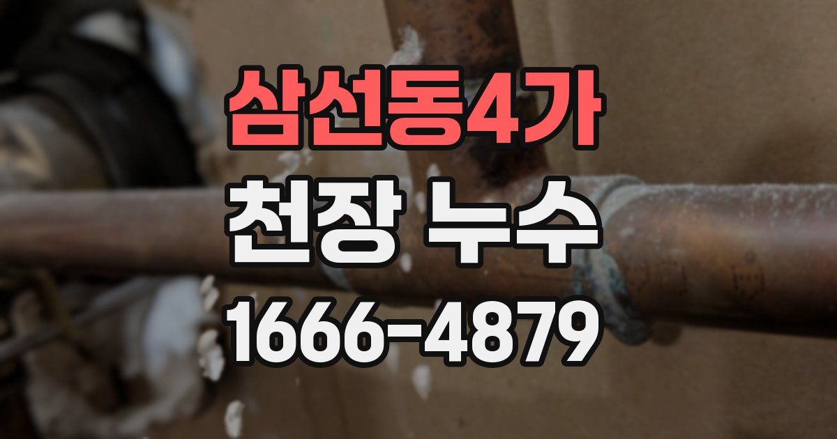 삼선동4가 천장 누수