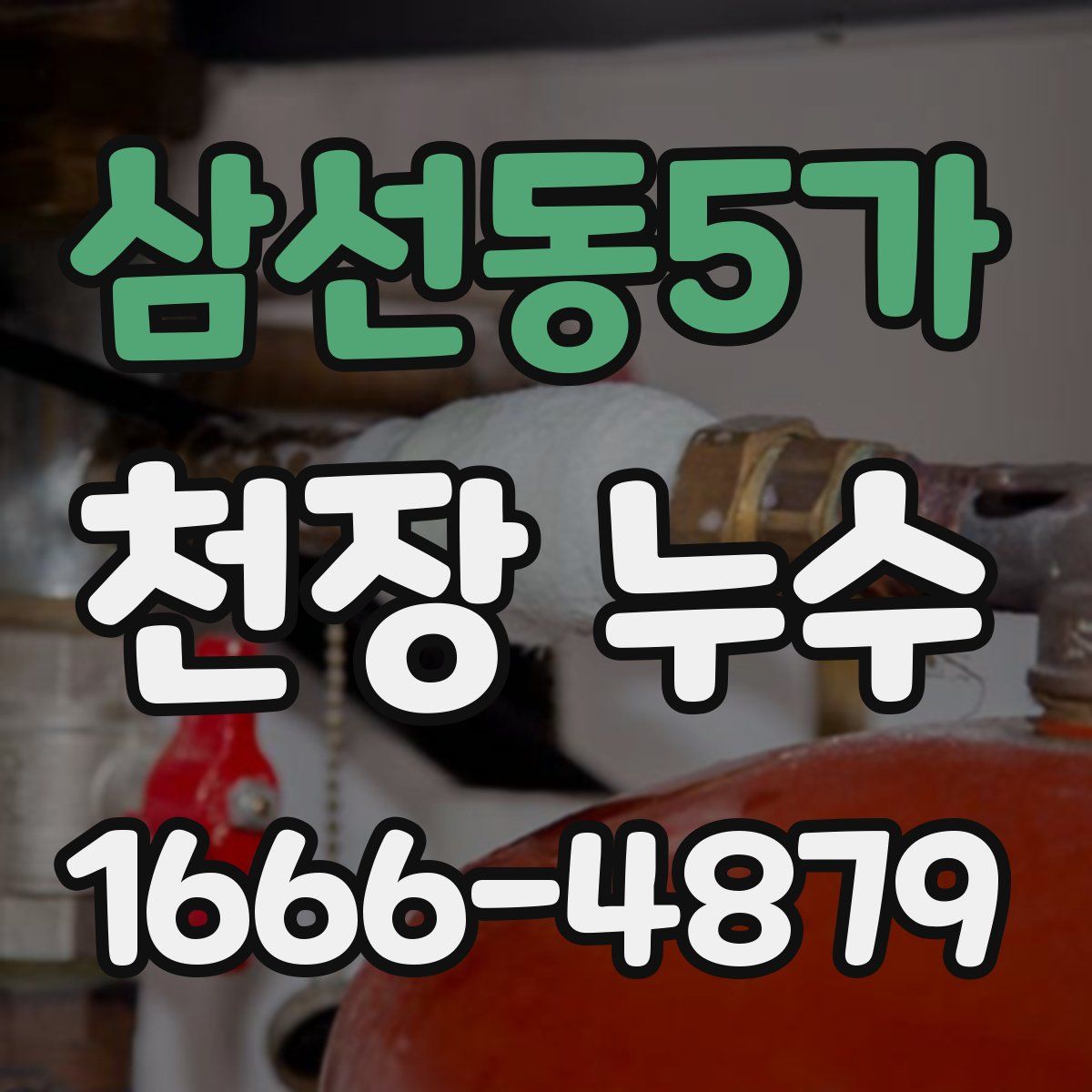 삼선동5가 천장 누수