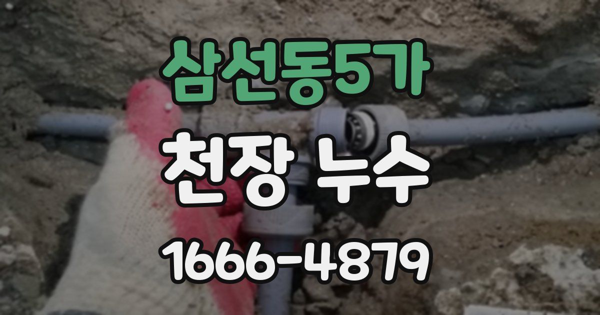 삼선동5가 천장 누수