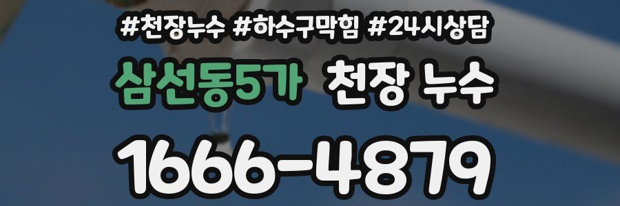 삼선동5가 천장 누수