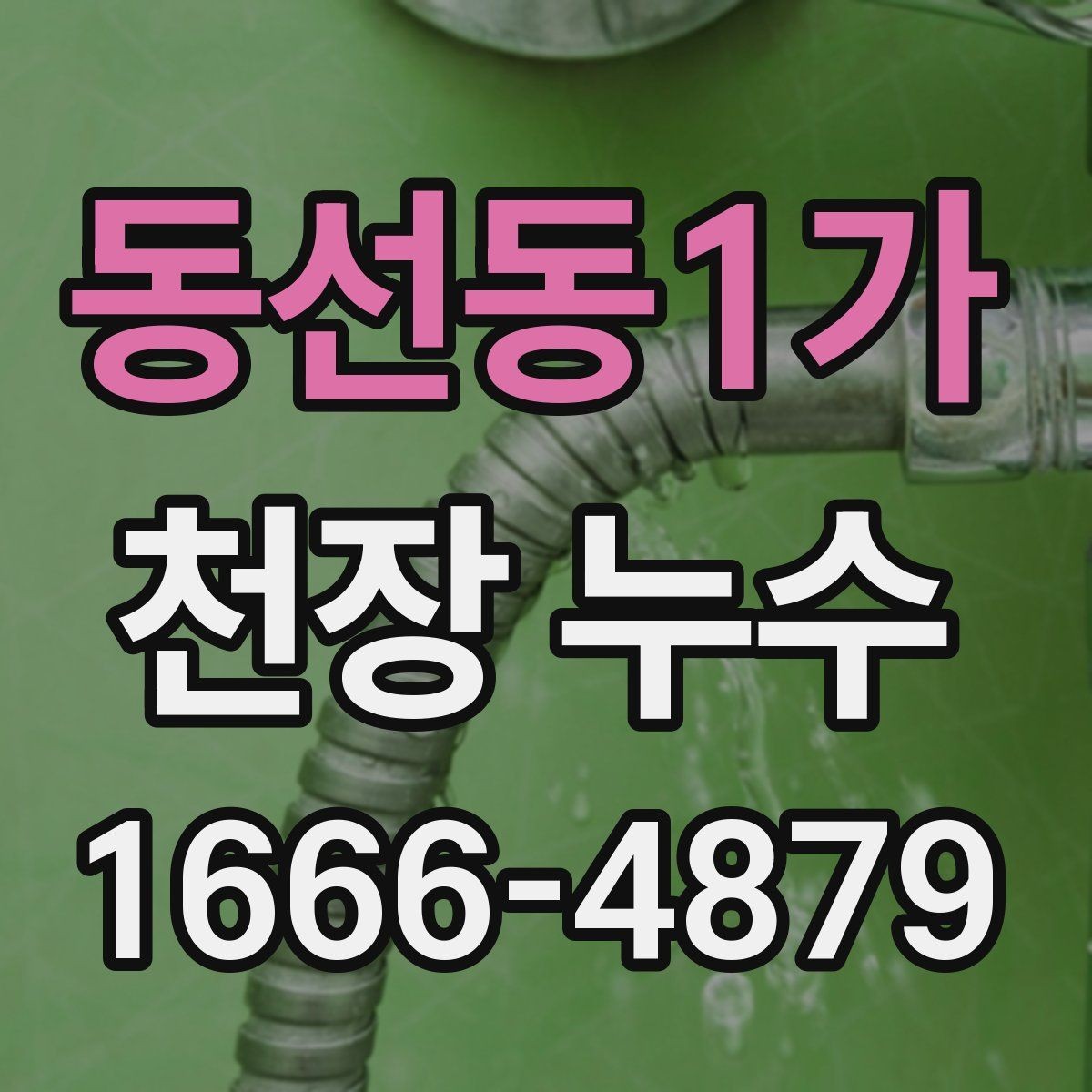 동선동1가 천장 누수 욕조·샤워부스 주변 누수가 천장으로 번질 때
