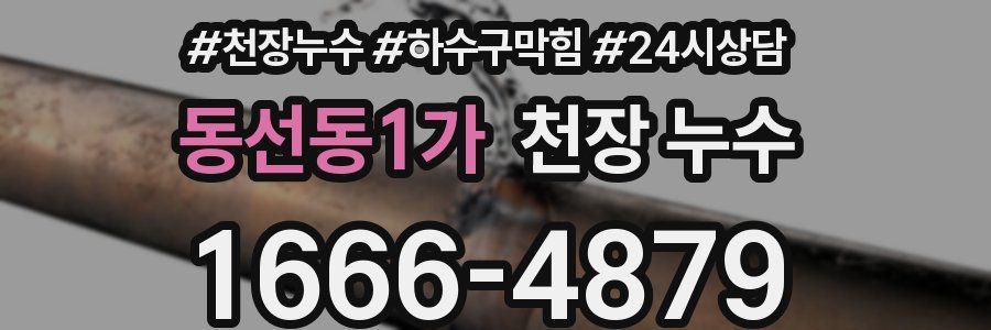 동선동1가 천장 누수