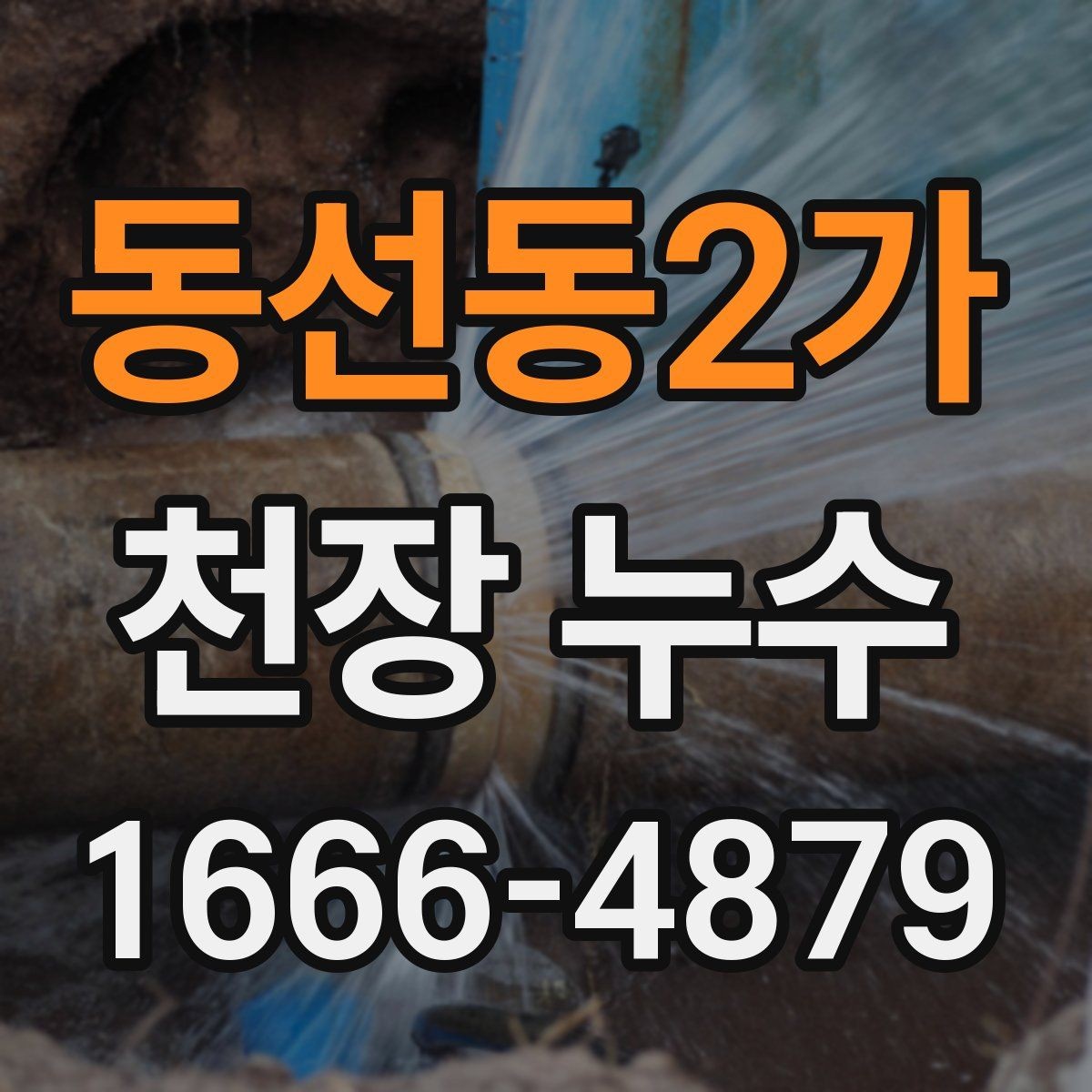동선동2가 천장 누수 천장에 물줄기 자국이 생겼다면