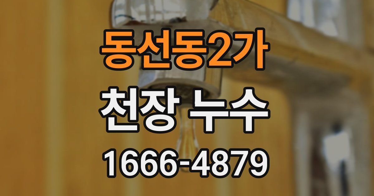 동선동2가 천장 누수