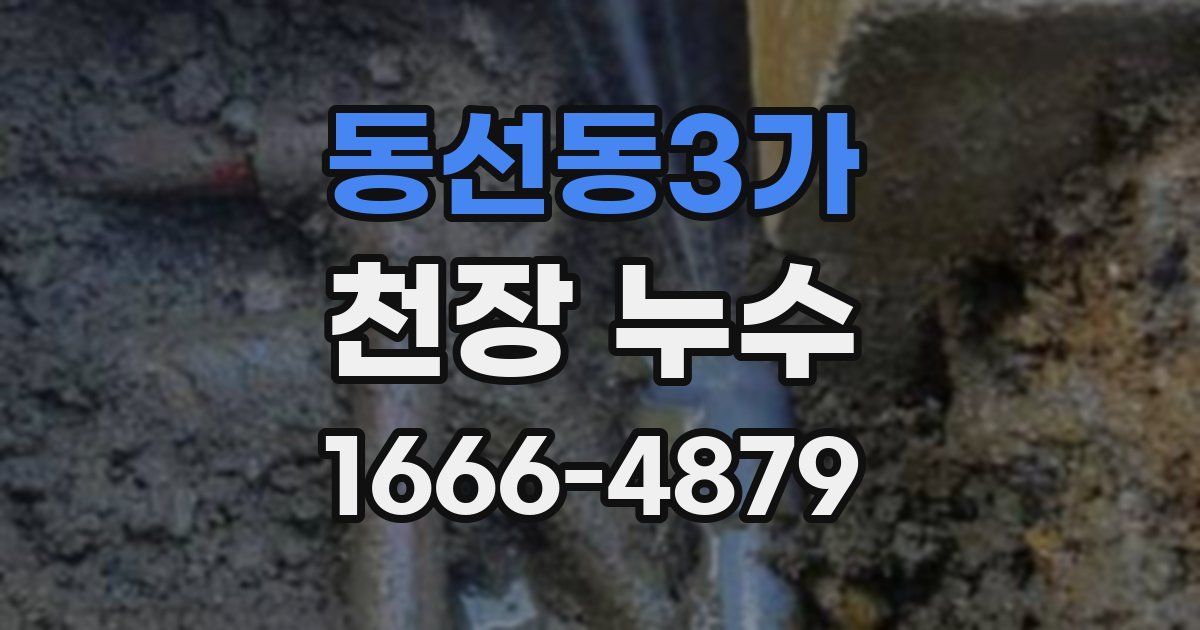 동선동3가 천장 누수