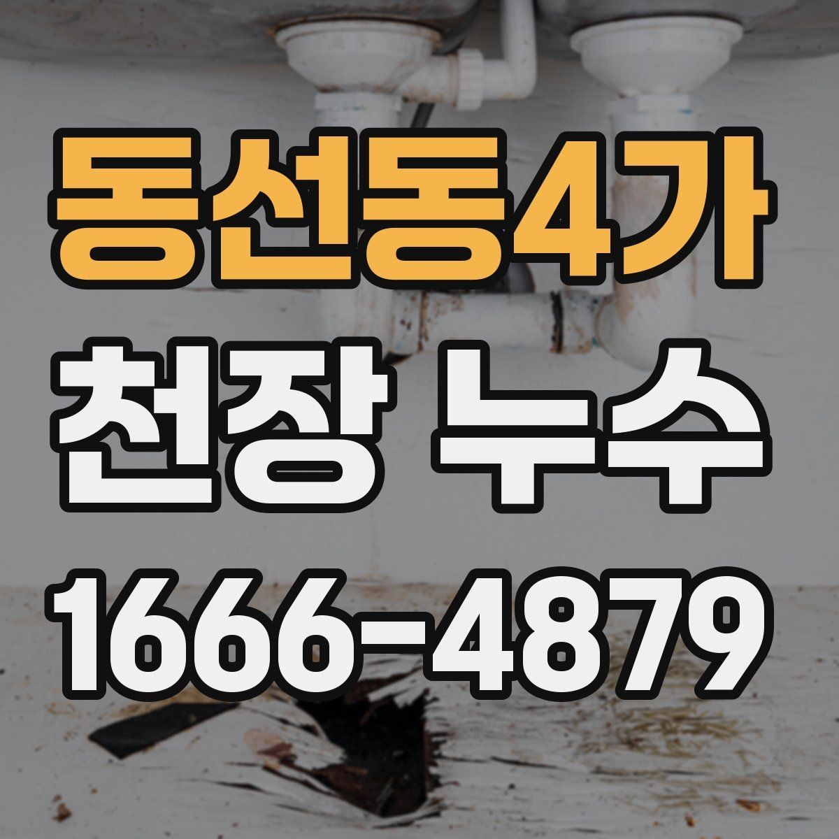 동선동4가 천장 누수 도배·페인트 손상 막는 방법