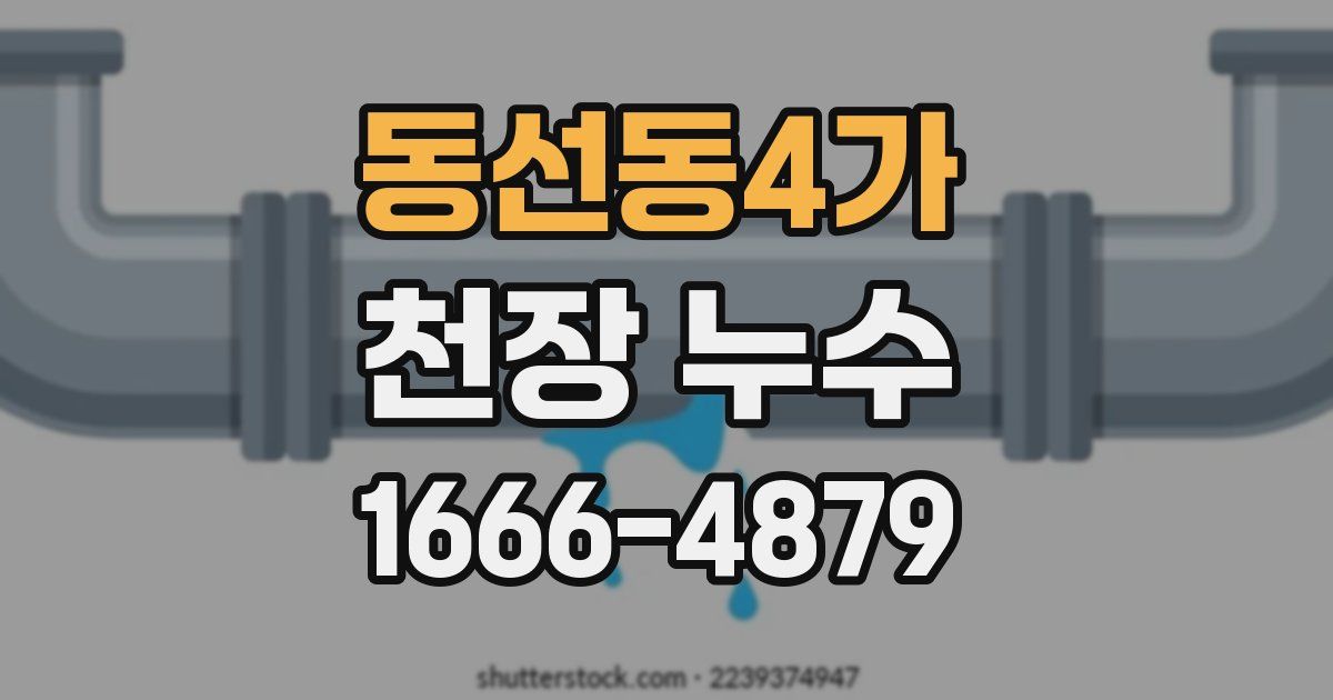 동선동4가 천장 누수