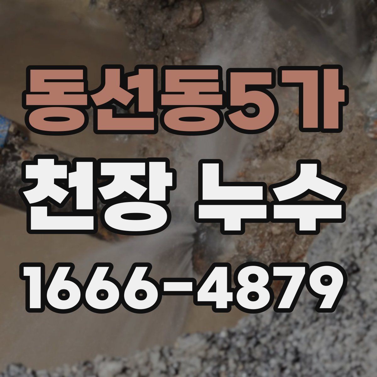 동선동5가 천장 누수 해결 후 곰팡이가 남는 이유