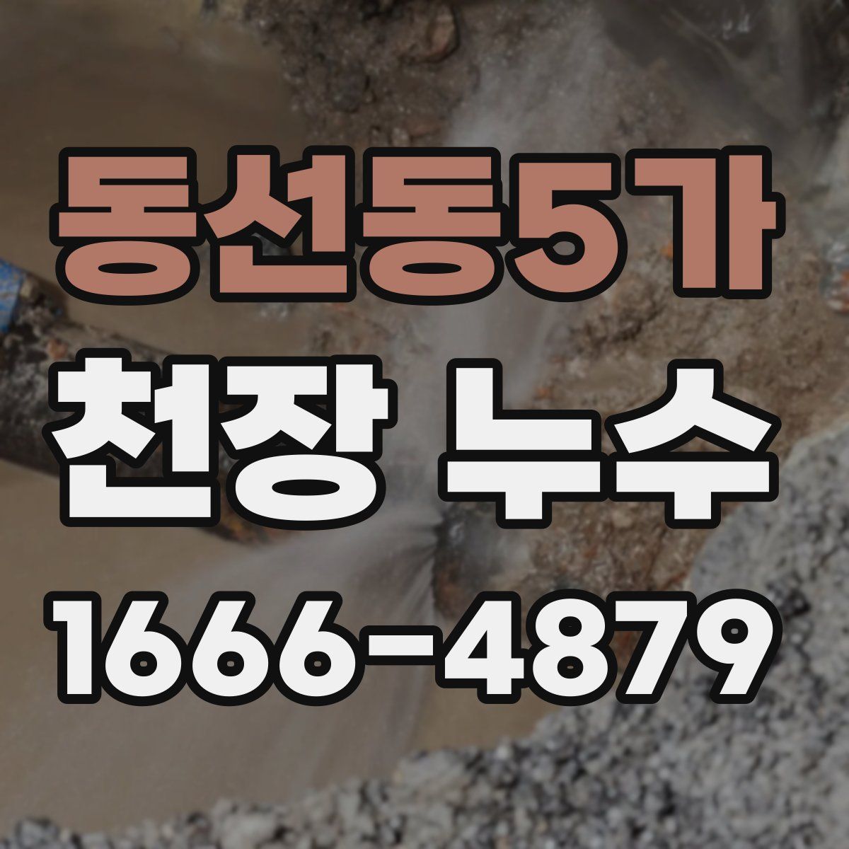 동선동5가 천장 누수