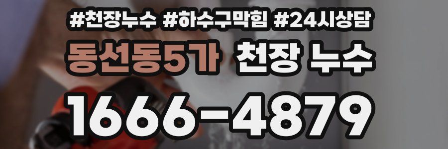 동선동5가 천장 누수