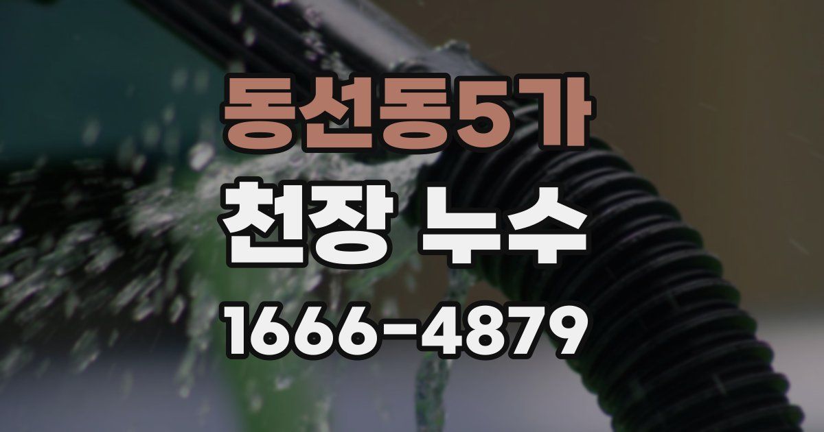 동선동5가 천장 누수