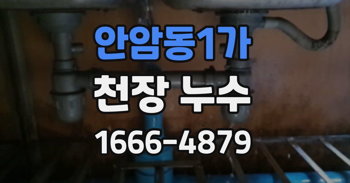 안암동1가 천장 누수