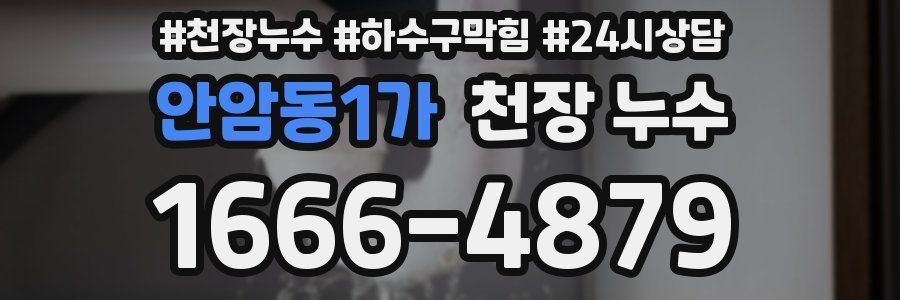 안암동1가 천장 누수