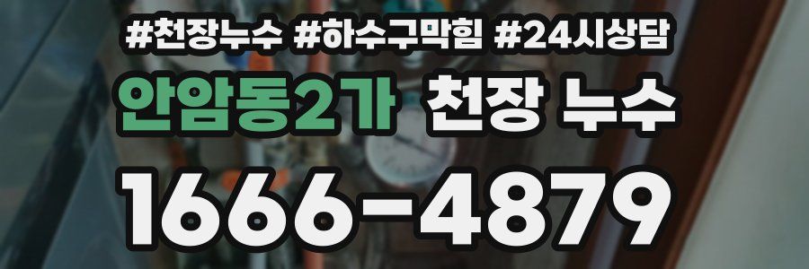 안암동2가 천장 누수