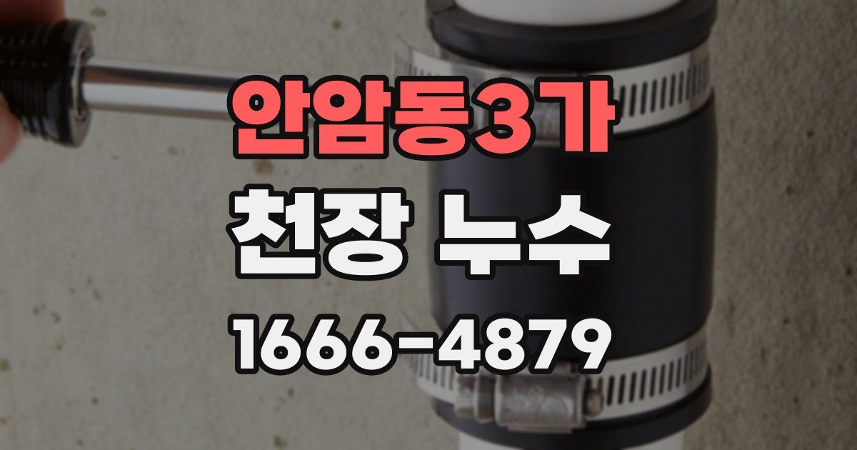 안암동3가 천장 누수