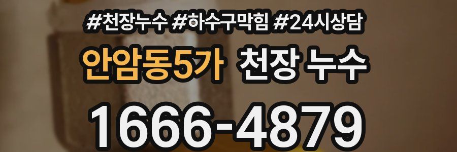 안암동5가 천장 누수