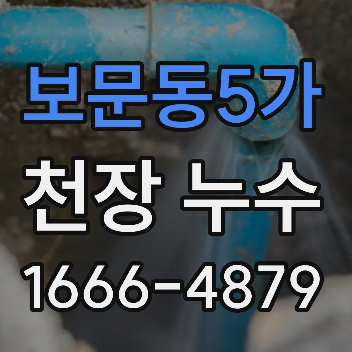 보문동5가 천장 누수 가구가 젖기 시작했을 때 응급 조치