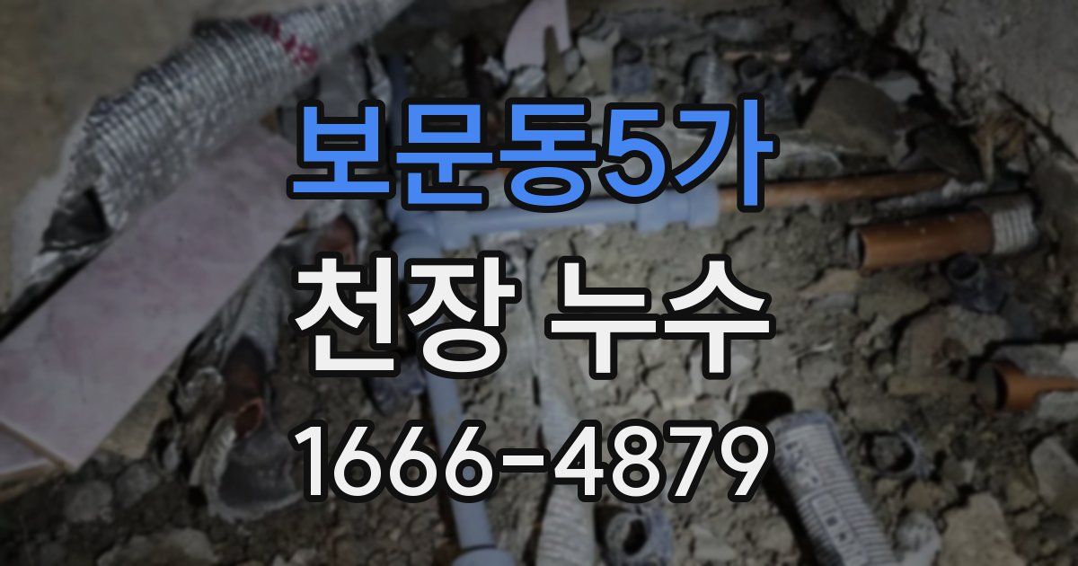 보문동5가 천장 누수