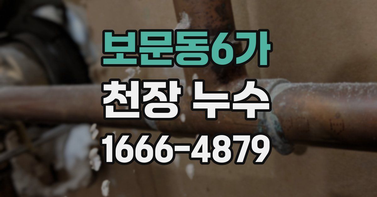 보문동6가 천장 누수