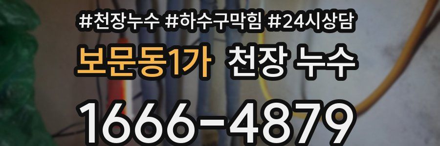 보문동1가 천장 누수
