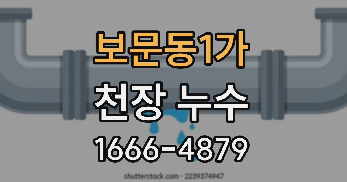 보문동1가 천장 누수