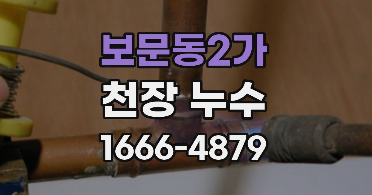 보문동2가 천장 누수