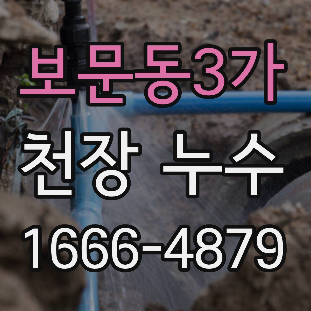 보문동3가 천장 누수