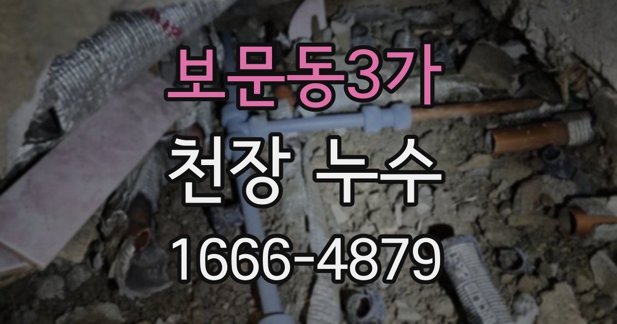 보문동3가 천장 누수