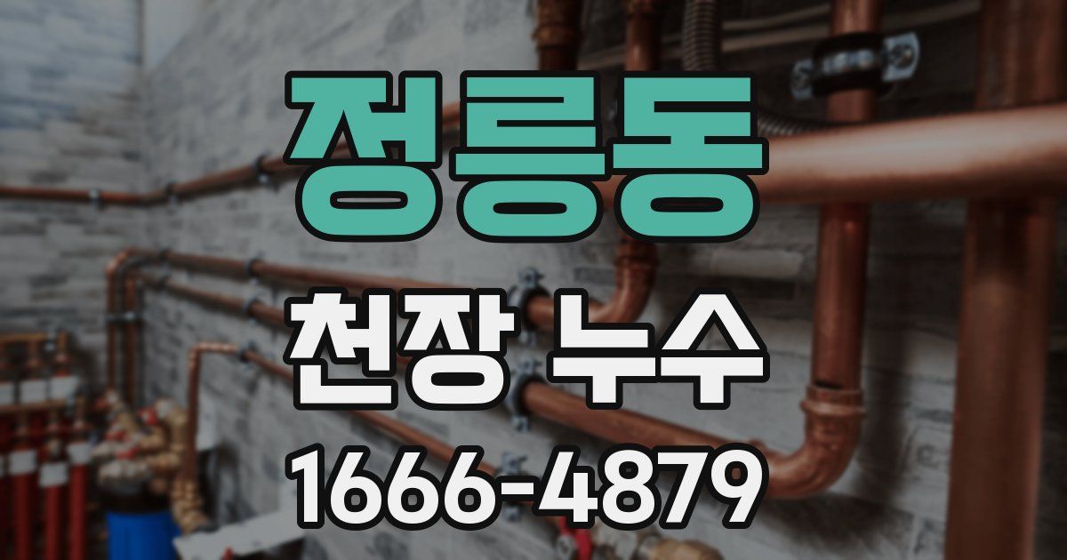 정릉동 천장 누수