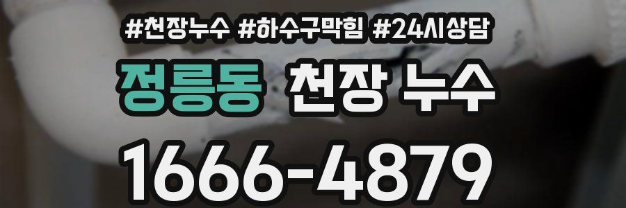 정릉동 천장 누수