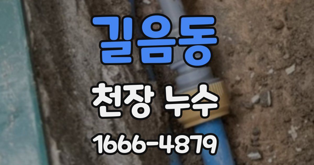 길음동 천장 누수