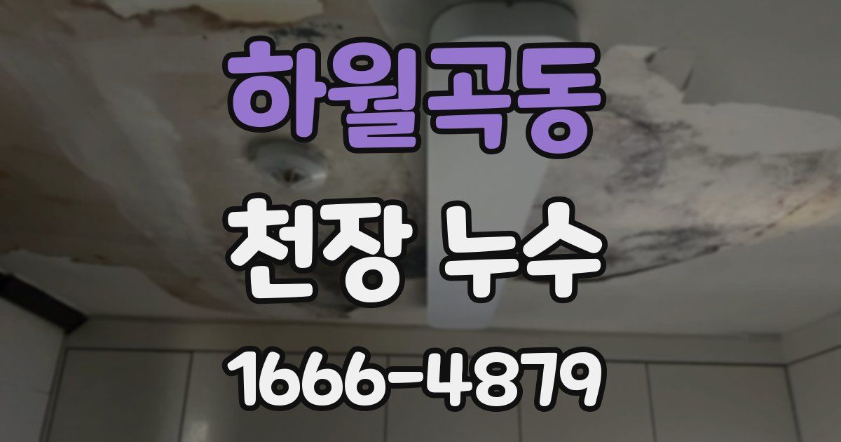 하월곡동 천장 누수