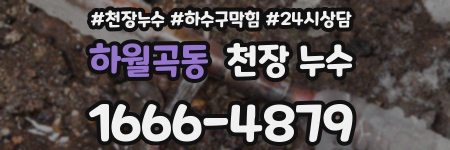 하월곡동 천장 누수