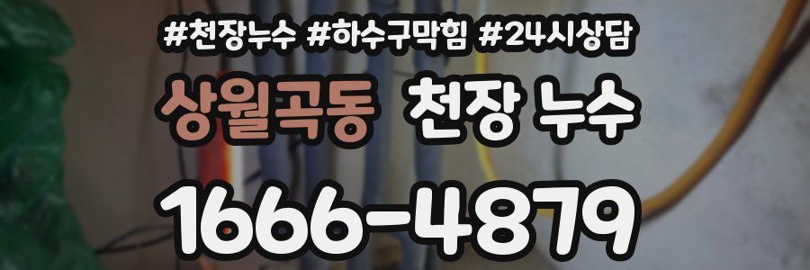 상월곡동 천장 누수